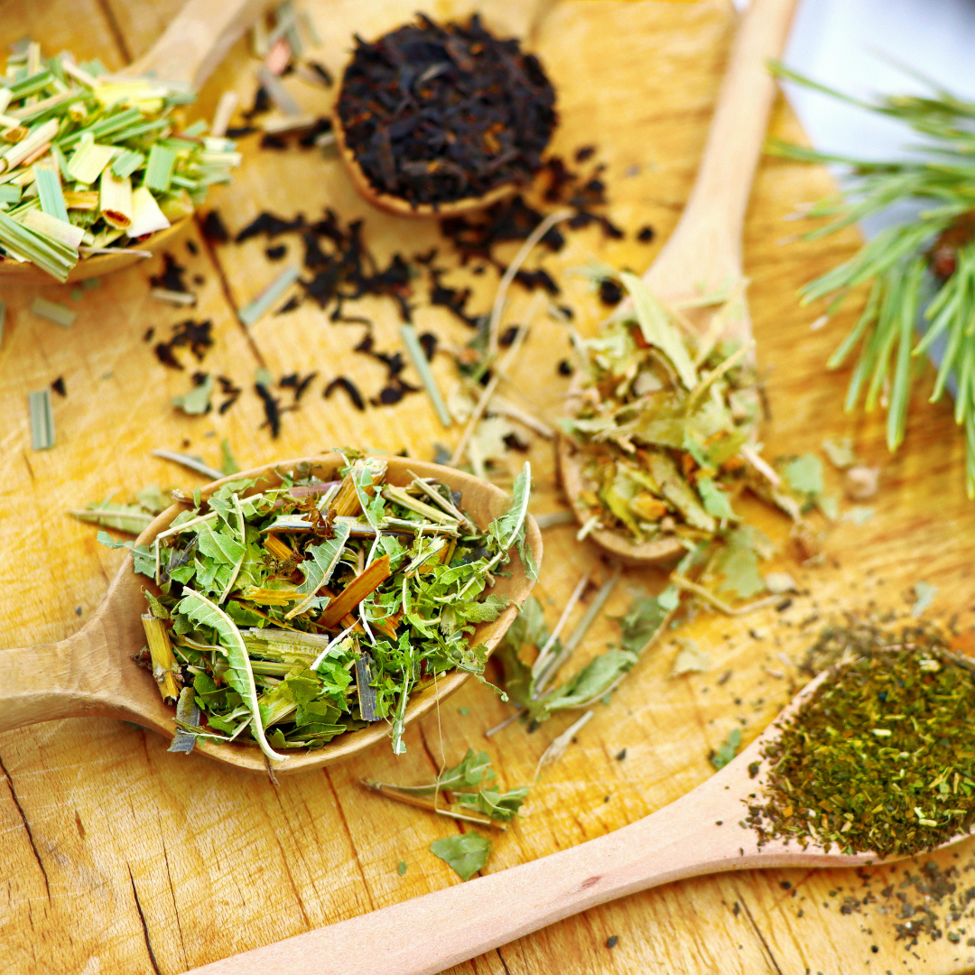 Tea Gardening in Texas - logo